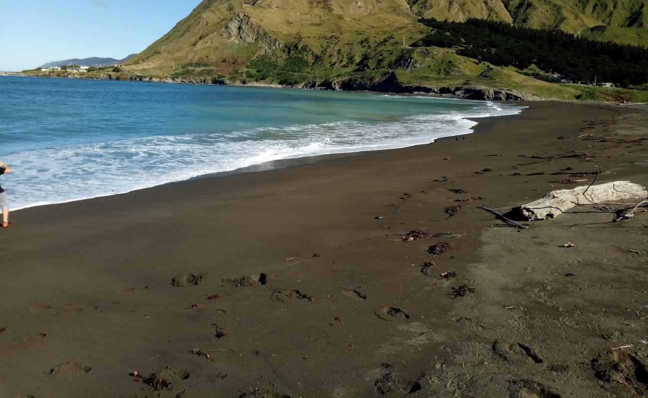 Foto de Te Awaiti Beach con arena gris superficie