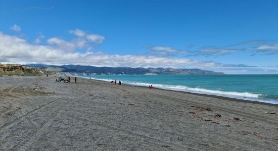 Lake Ferry Beach