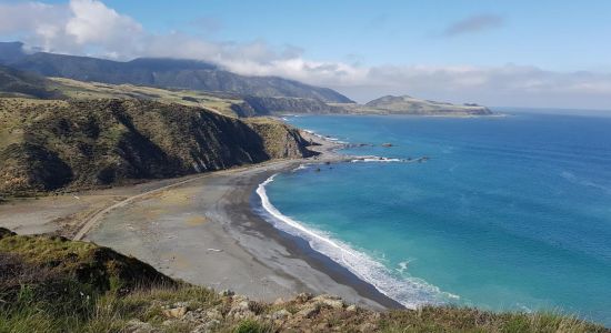 Pencarrow Head Beach