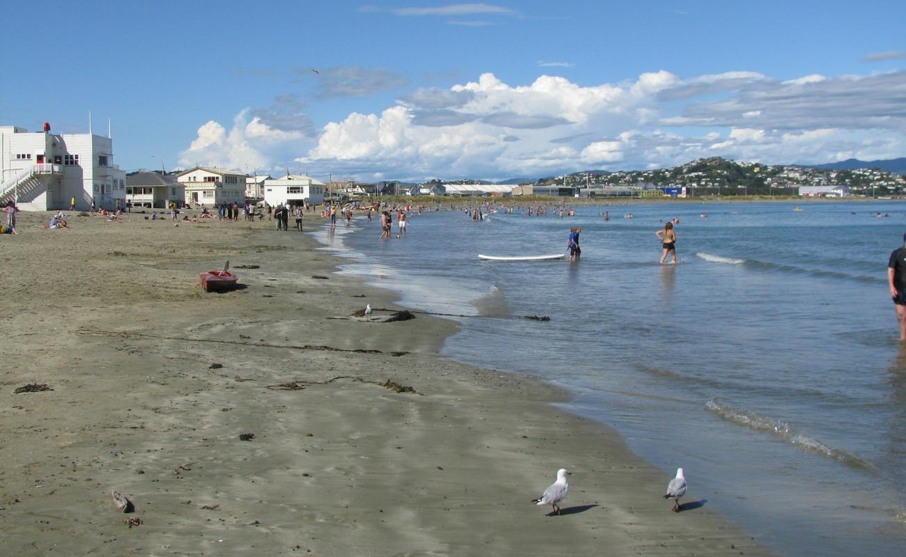 Foto de Lyall Bay con arena gris superficie