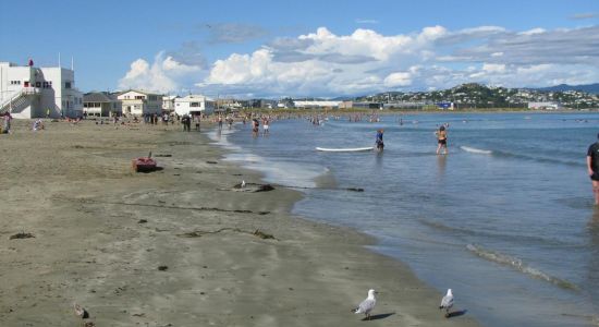 Lyall Bay