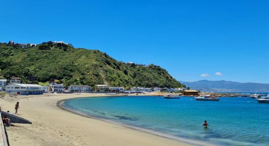 Island Bay Beach