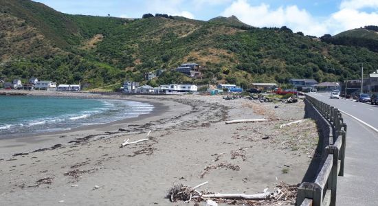 Owhiro Bay Beach