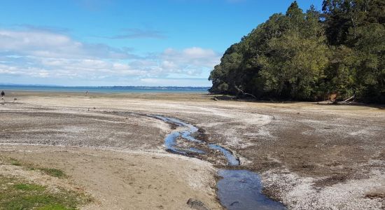 Titirangi Beach