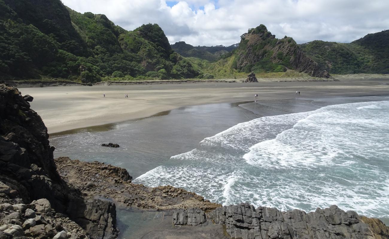 Foto de Karekare Beach con arena gris superficie