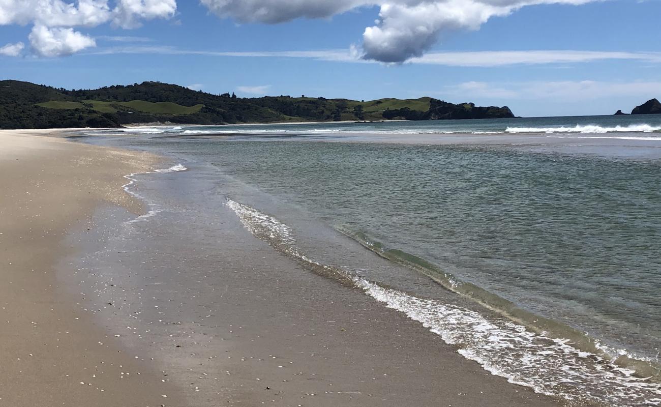 Foto de Kaitoke Beach con arena brillante superficie