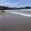 Whangapoua Bay