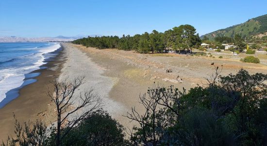 Rarangi Beach