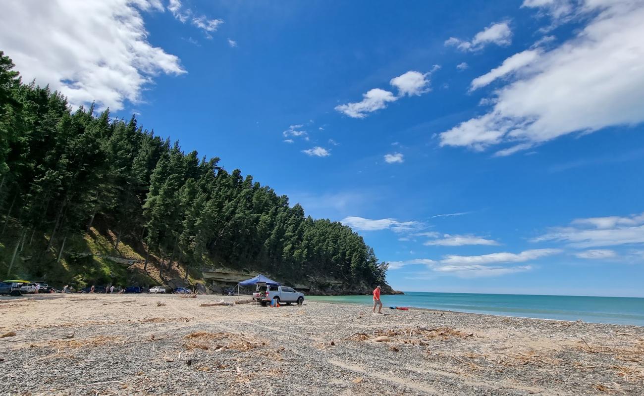 Foto de Teviotdale Beach con arena fina y guijarros superficie