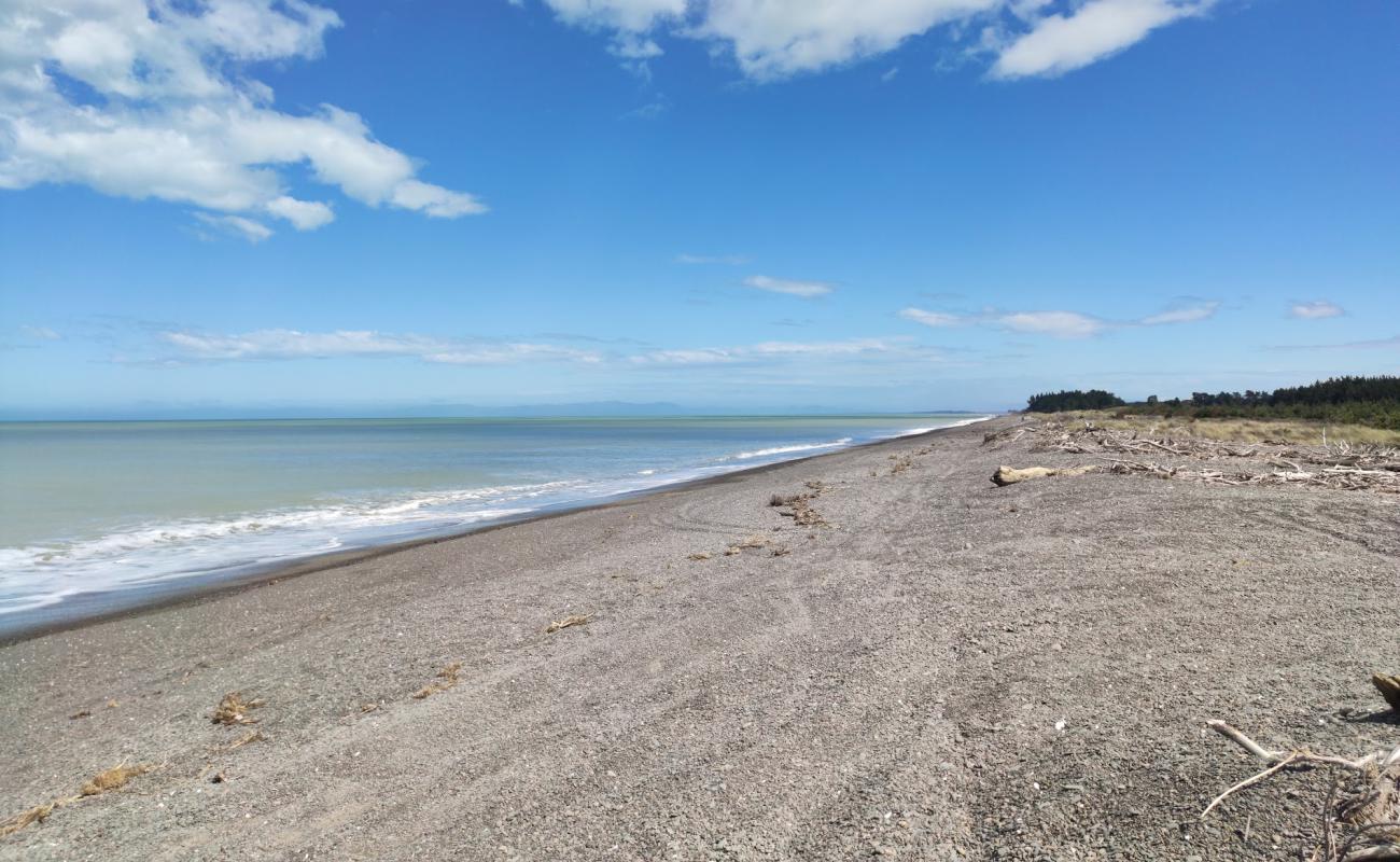 Foto de Leithfield Beach con arena/guijarros negro superficie