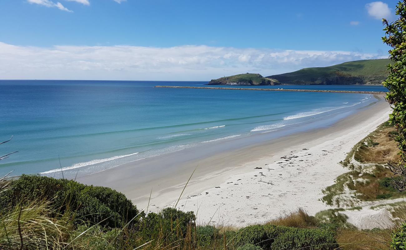 Foto de Aramoana Beach con arena brillante superficie