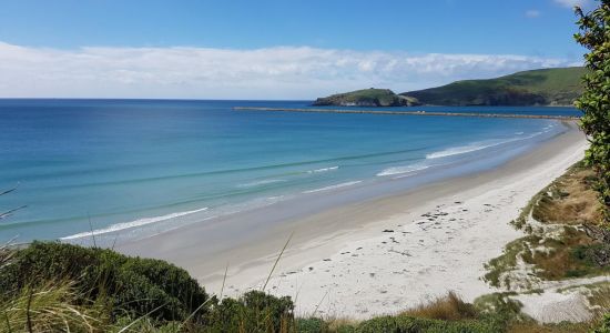 Aramoana Beach