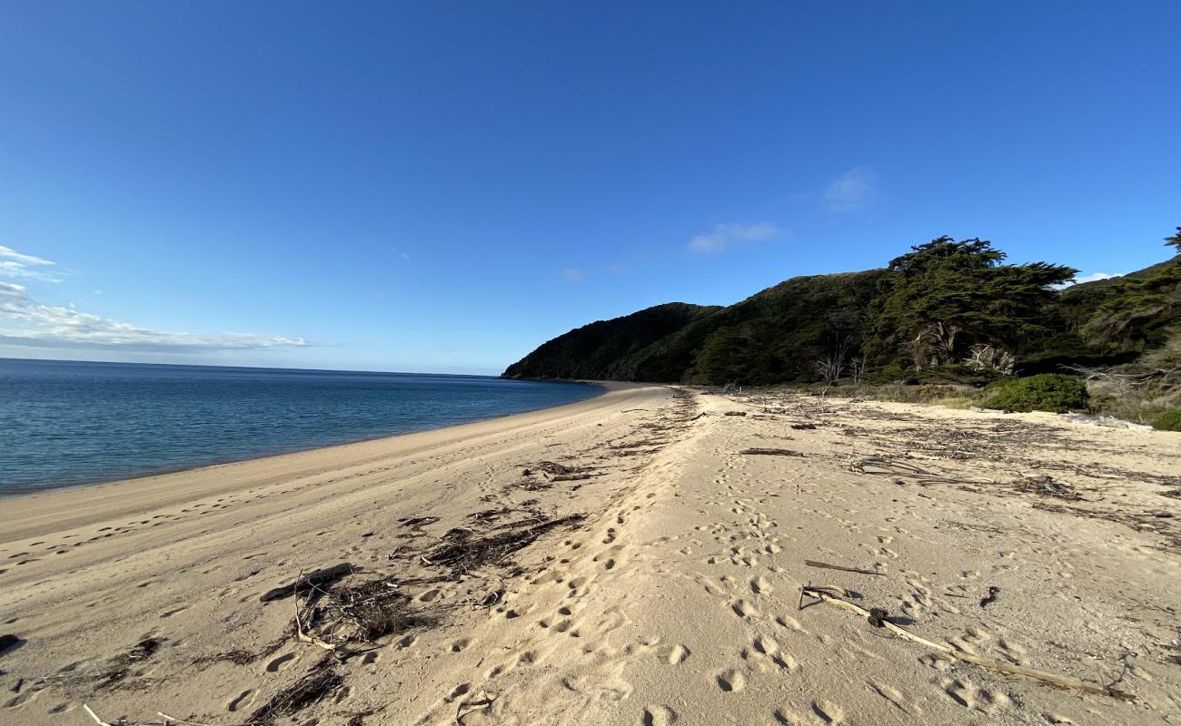 Foto de Whariwharangi Beach con arena brillante superficie