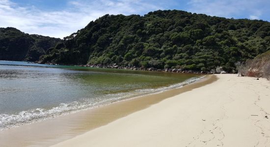 Awaroa Bay Beach