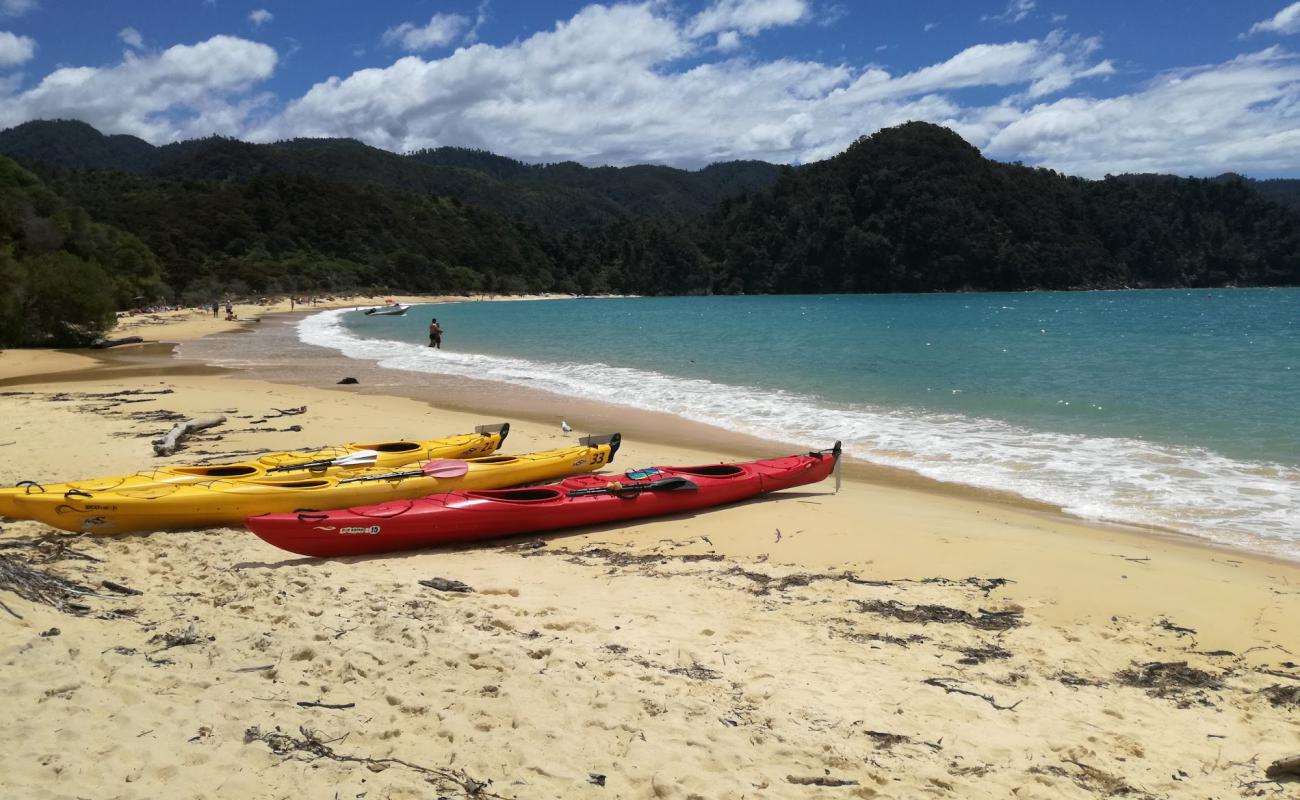 Foto de Anchorage Bay Abel Tasman con brillante arena fina superficie