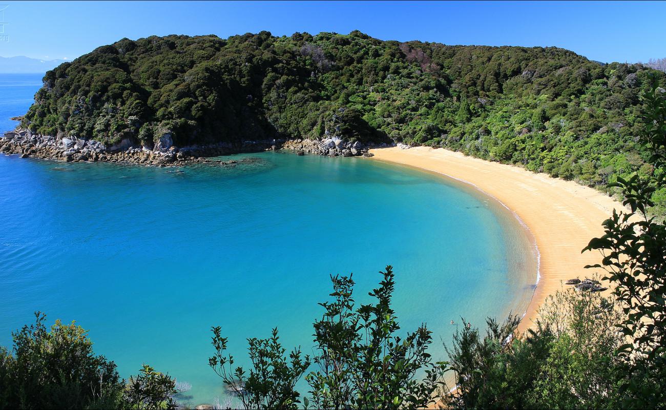 Foto de Te Pukatea Beach con brillante arena fina superficie