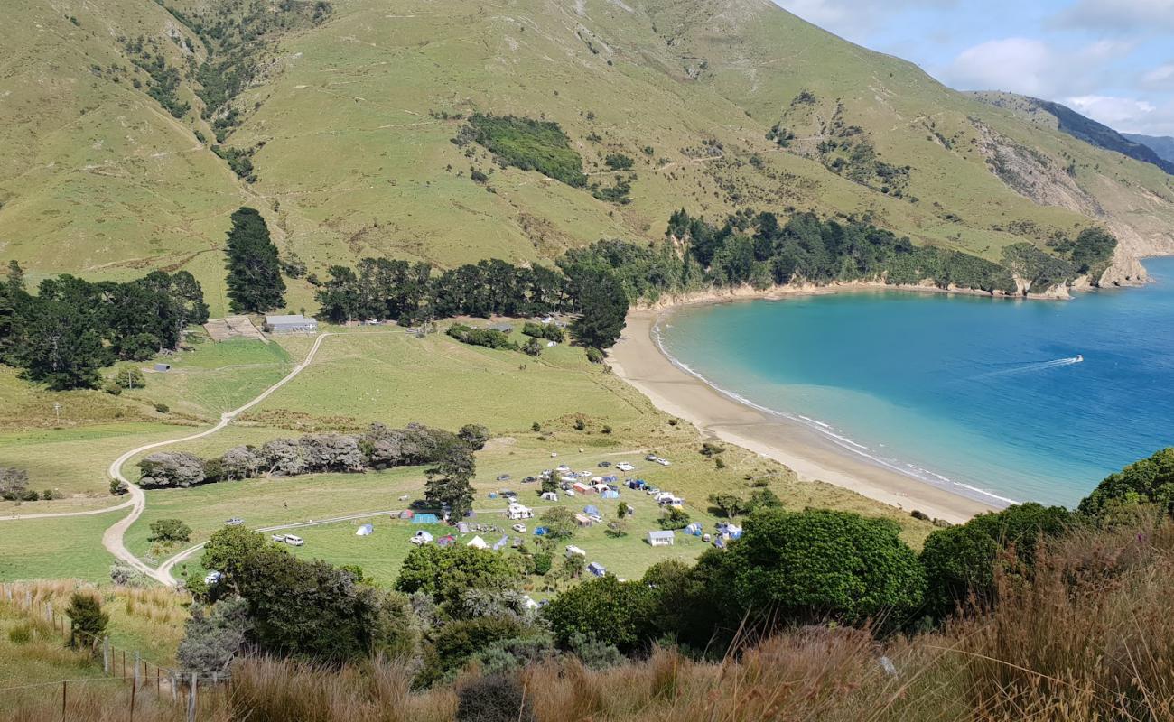 Foto de Titirangi Beach con arena brillante superficie