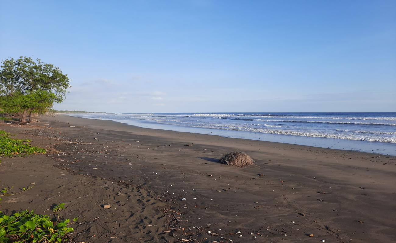 Foto de Los Zorros beach con arena oscura superficie