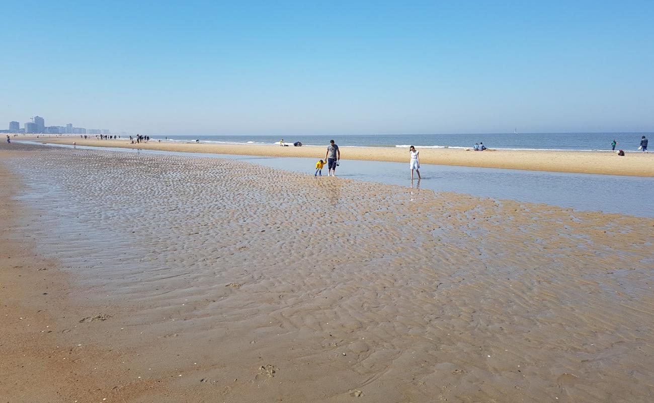 Foto de Playa de Oostende con arena brillante superficie