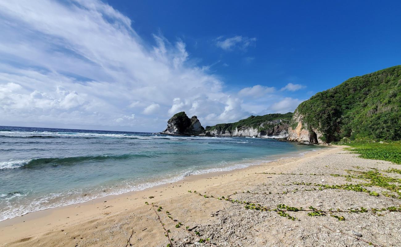 Foto de Bird Island Beach con arena fina y guijarros superficie