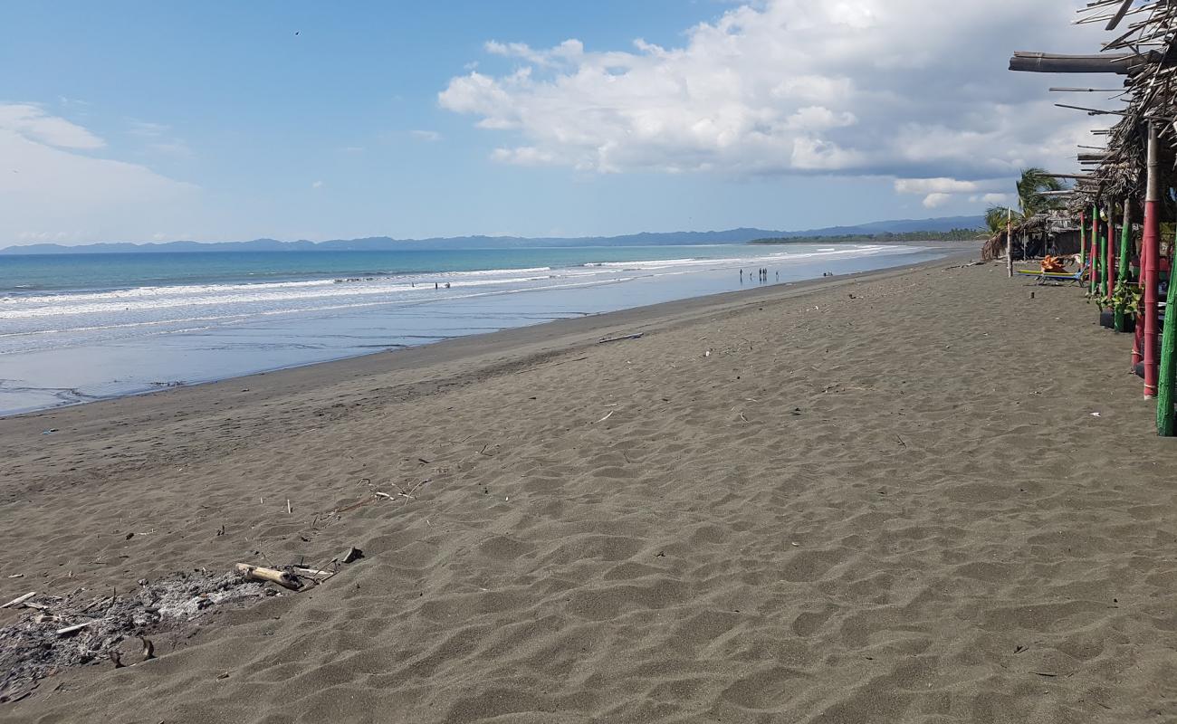 Foto de Playa De Los Olivos con arena oscura superficie