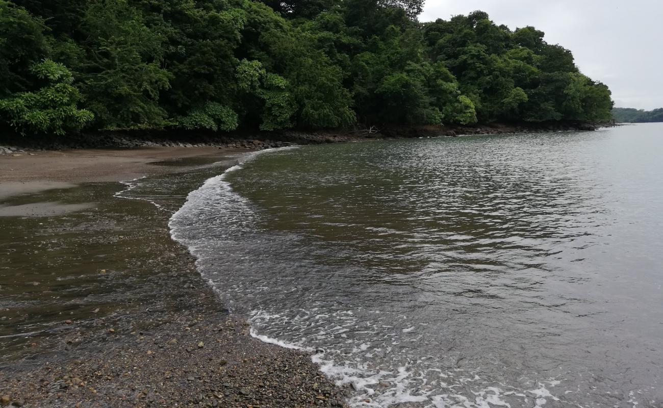 Foto de Playa Piedrita con arena brillante y rocas superficie