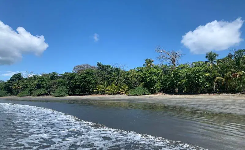 Foto de Playa Coca con arena brillante superficie