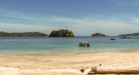 Isla Palenque beach