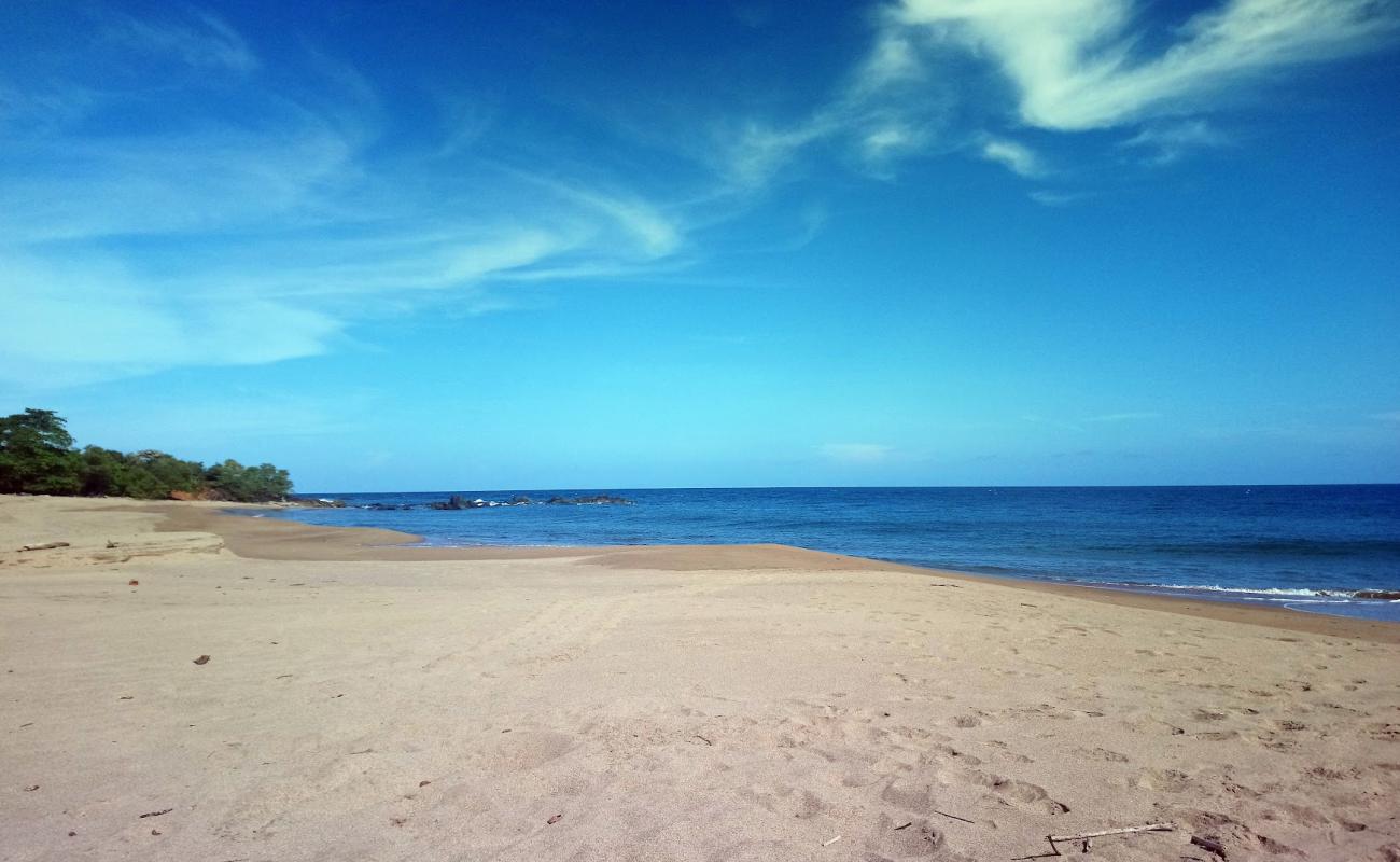 Foto de Lagart Point Beach con arena oscura superficie