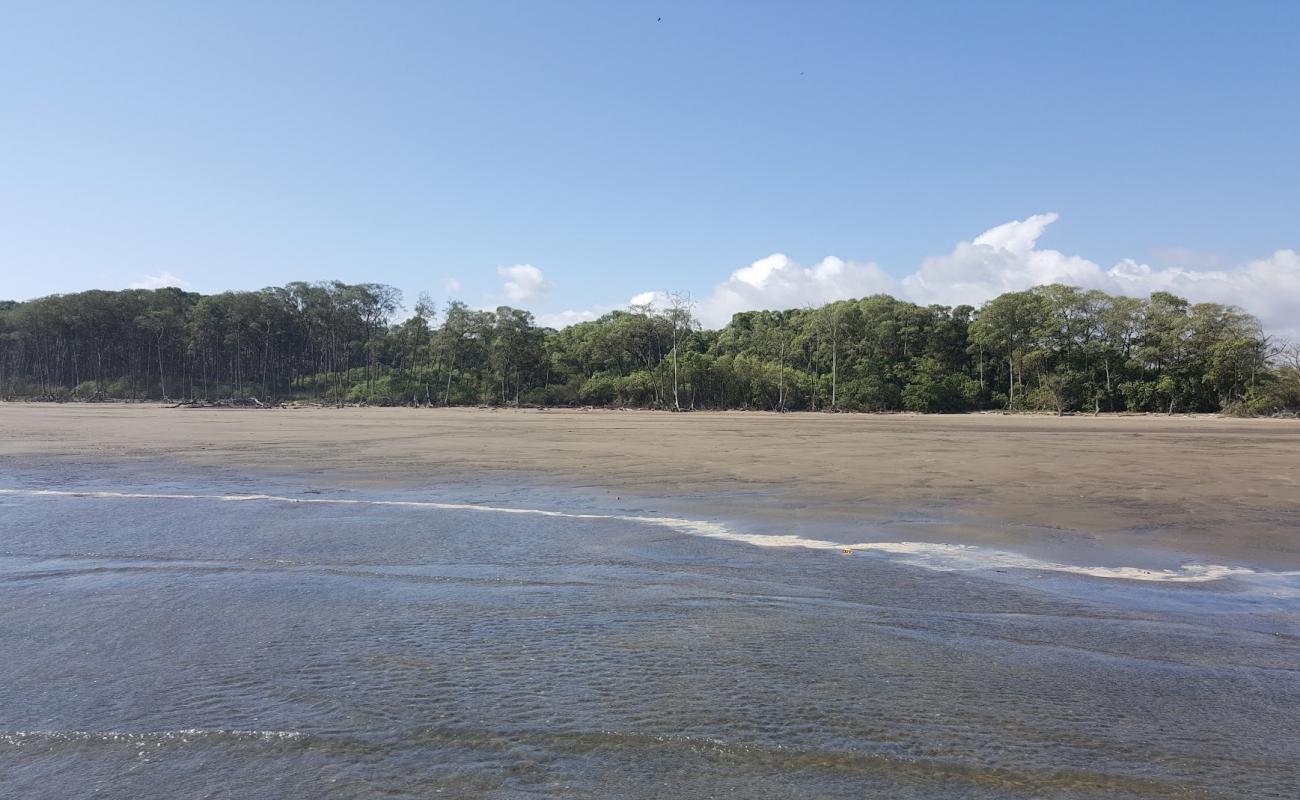 Foto de Playlita Las Marinas con arena oscura superficie