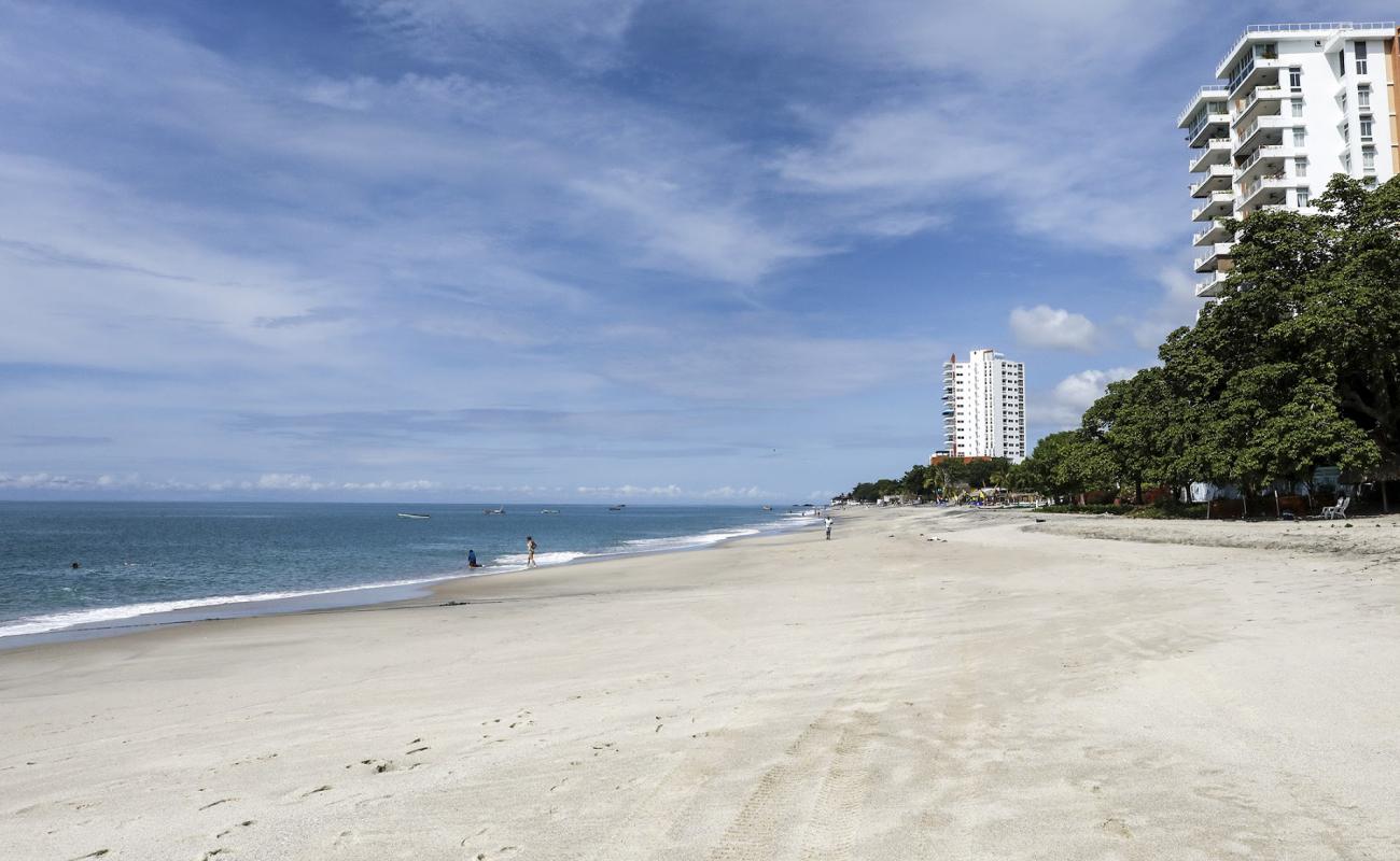 Foto de Farallon Beach con arena brillante superficie