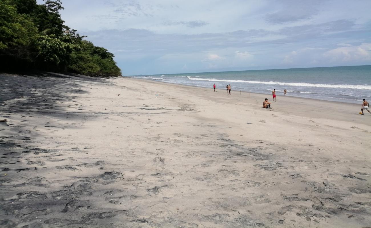 Foto de Los Panama Beach con arena gris superficie