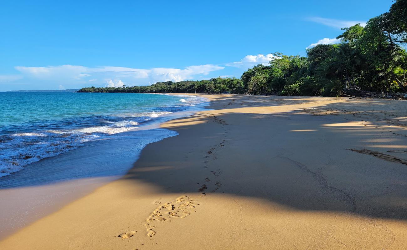 Foto de Playa Bluff con arena brillante superficie