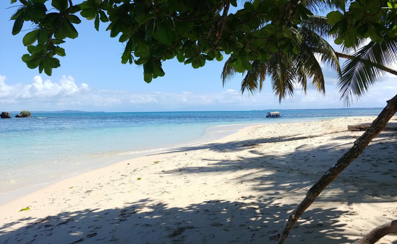 Foto de Cayo Zapatilla Beach con arena brillante superficie