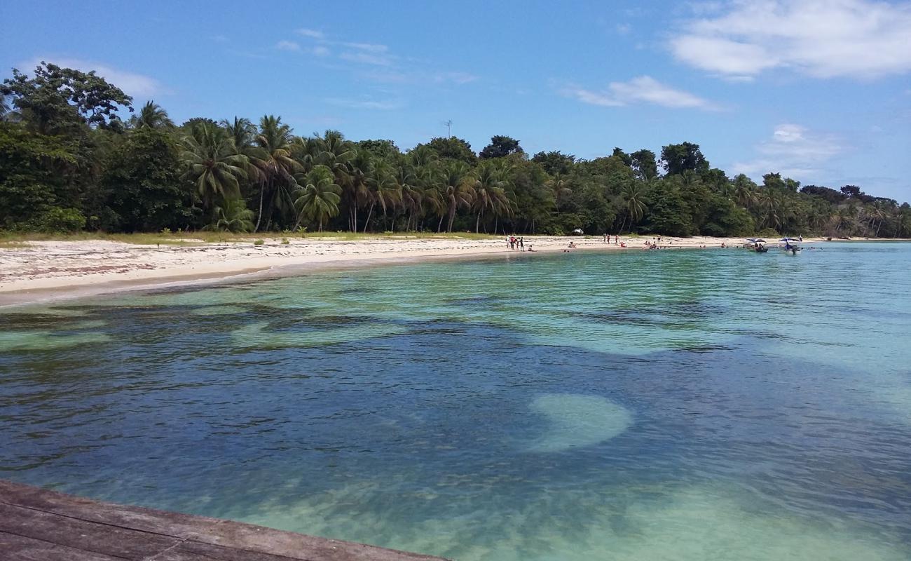 Foto de Salt Creek Beach con arena brillante superficie