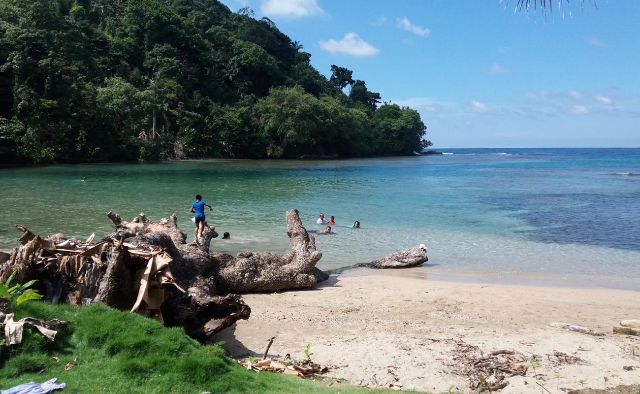 Foto de Puerto Frances Beach con arena fina y guijarros superficie