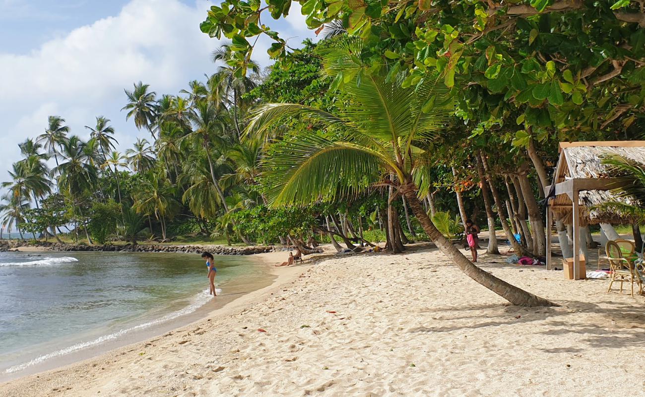 Foto de Playa Isla Mamey con arena brillante superficie