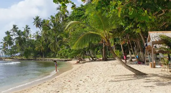 Playa Isla Mamey