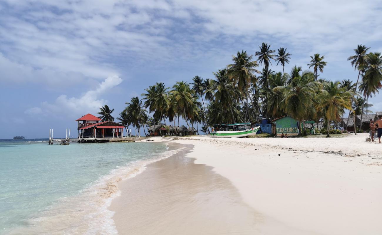 Foto de Islas Franklin Beach con brillante arena fina superficie