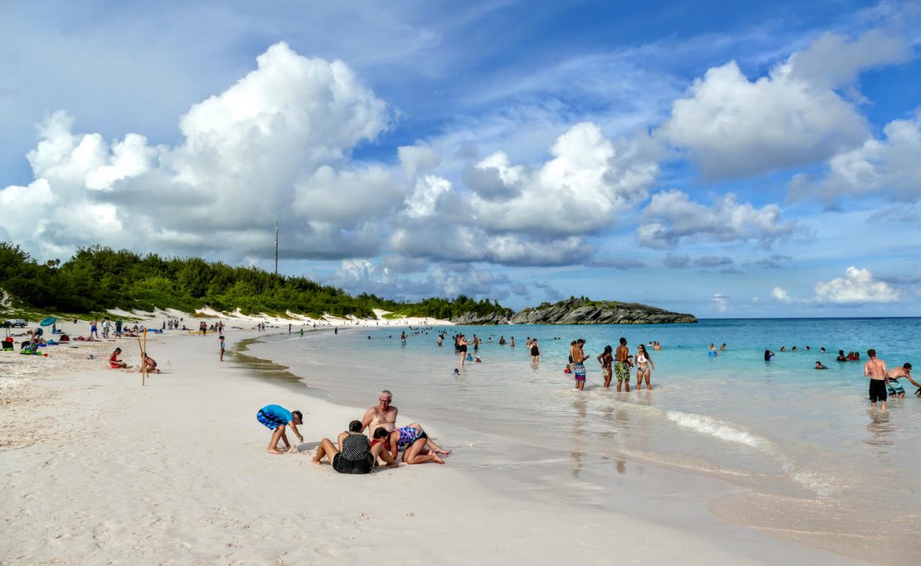 Foto de Playa de la Bahía de la Herradura con arena fina rosa superficie