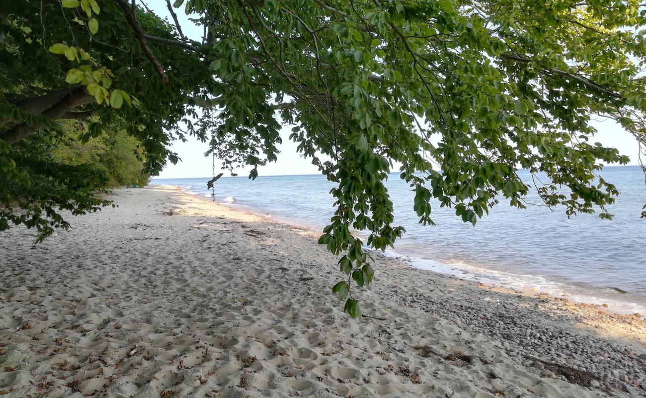 Foto de Gdynia Beach con arena fina y guijarros superficie