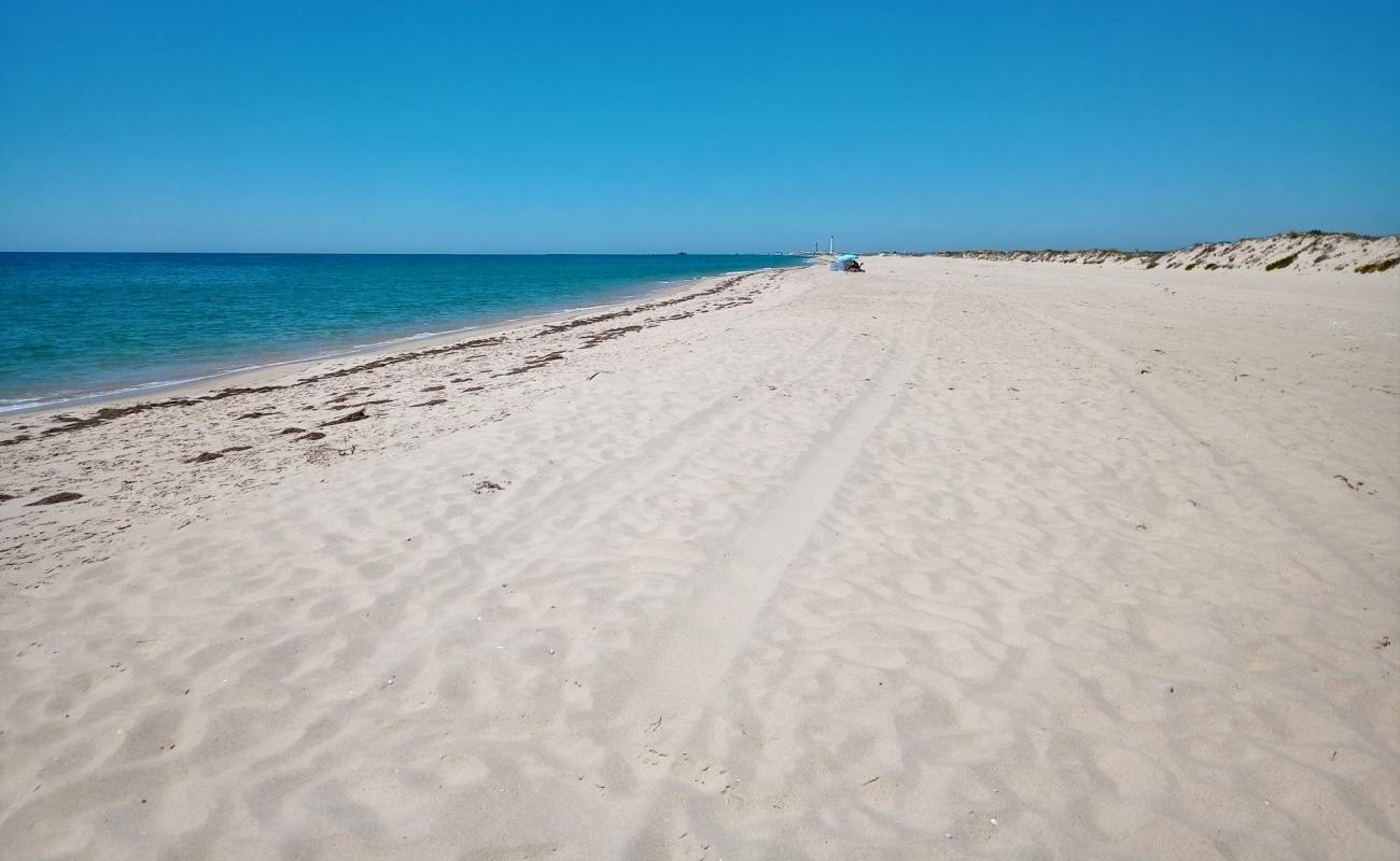 Foto de Ilha da Culatra con brillante arena fina superficie