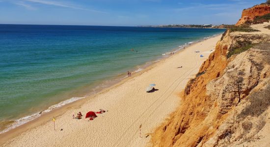 Playa de Falesia