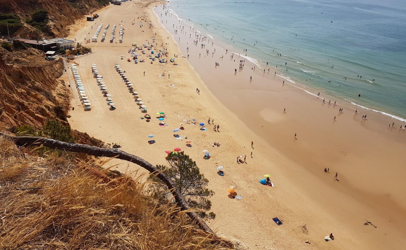 Foto de Barranco das Belharucas con arena fina oscura superficie