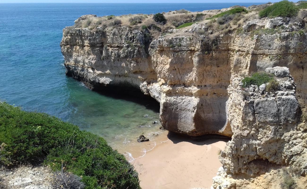 Foto de Ninho de Andorinha con arena brillante superficie