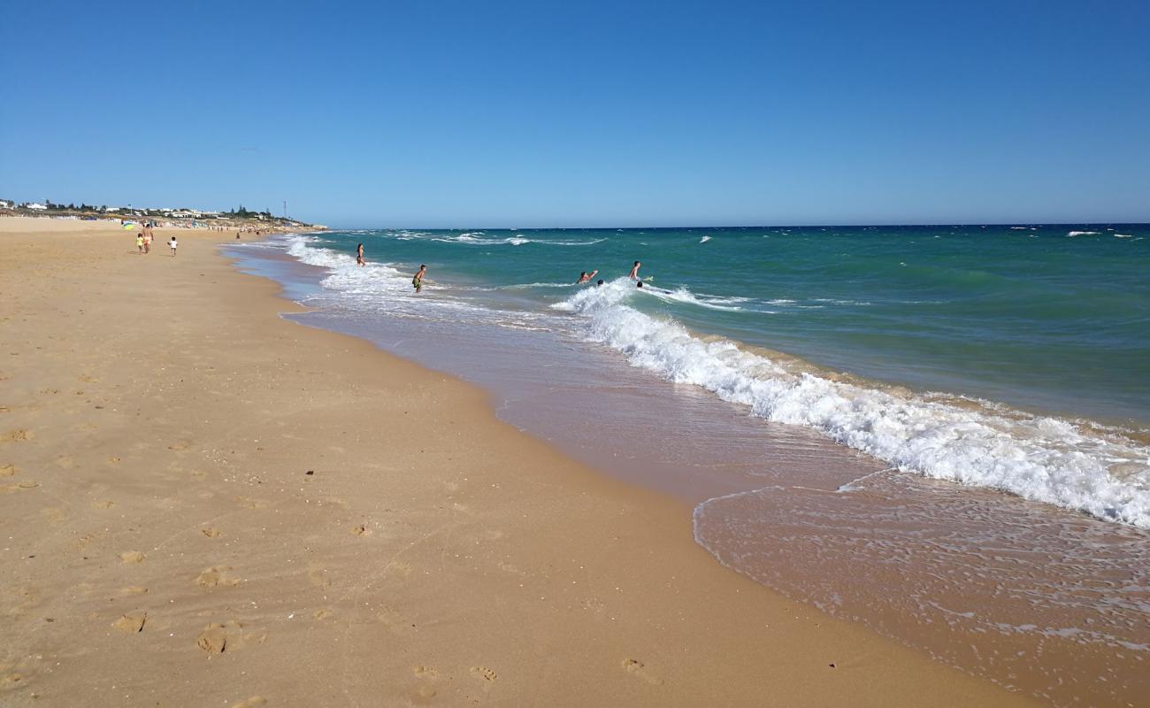 Foto de Praia dos Salgados con arena fina oscura superficie