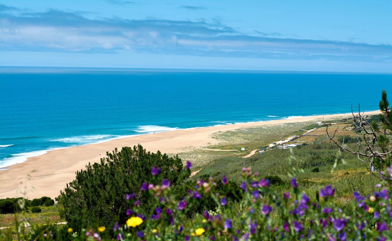 Foto de North Beach con brillante arena fina superficie