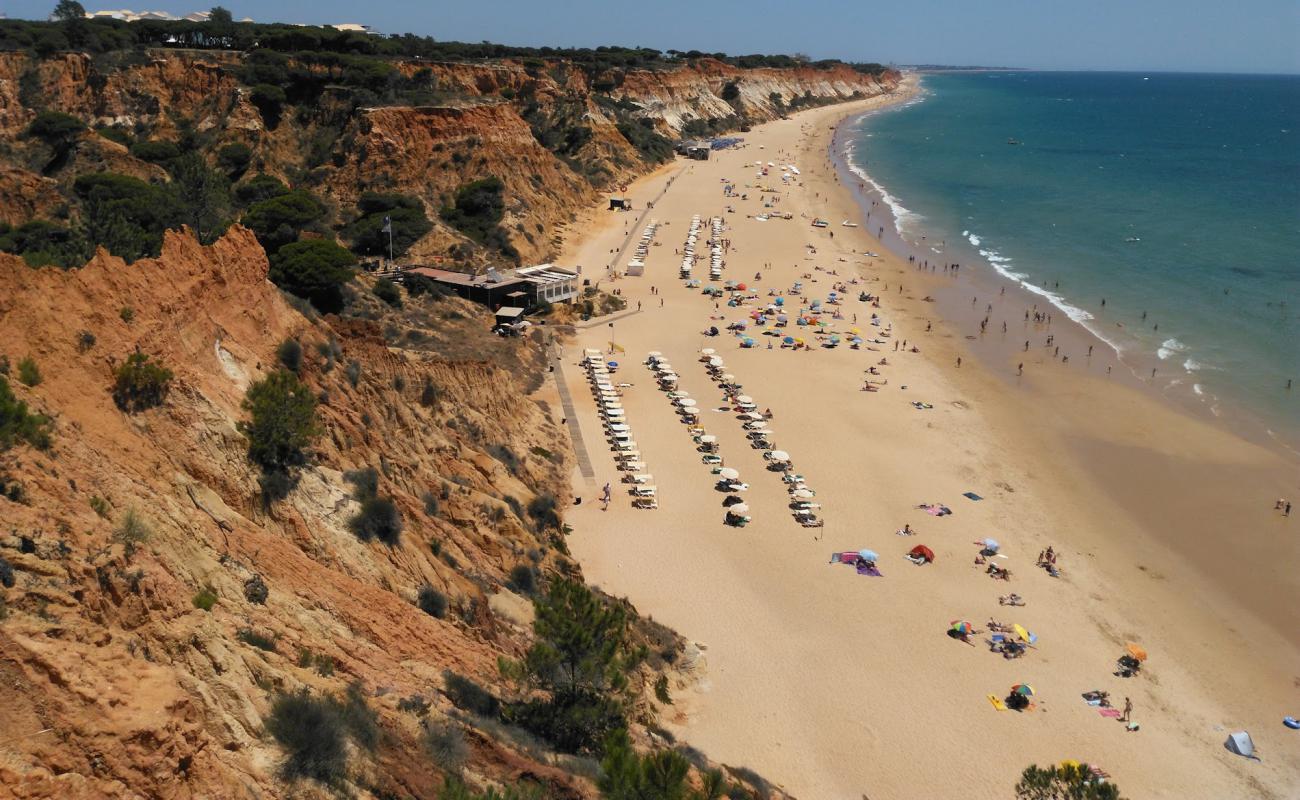 Foto de Praia da falesia con brillante arena fina superficie