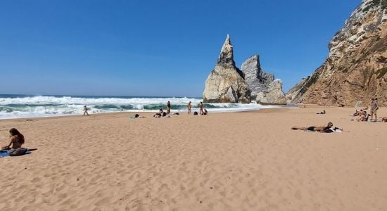 Praia da Aroeira