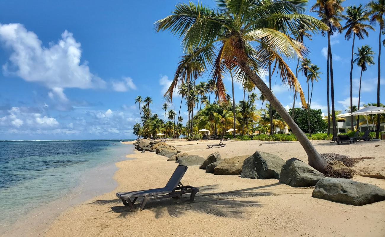 Foto de Playa Punta Miquillo con arena brillante superficie